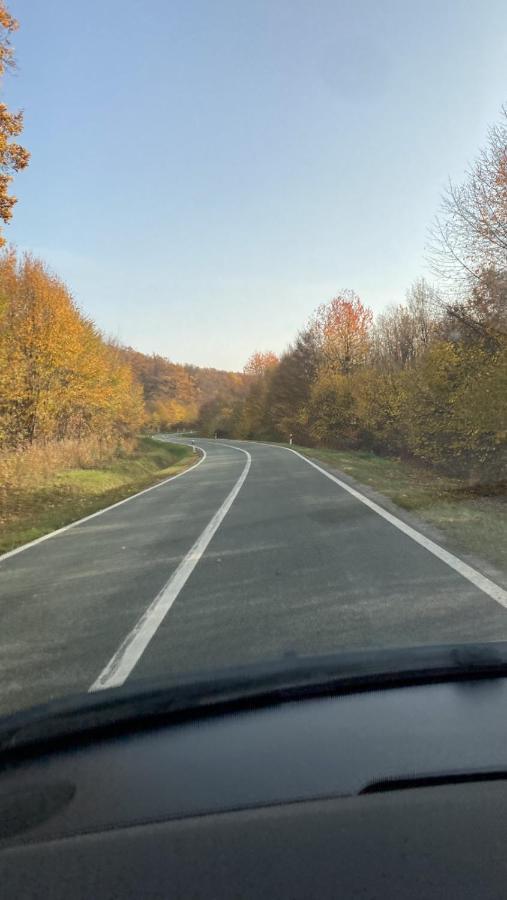 Villa Papuk Vocin Zewnętrze zdjęcie