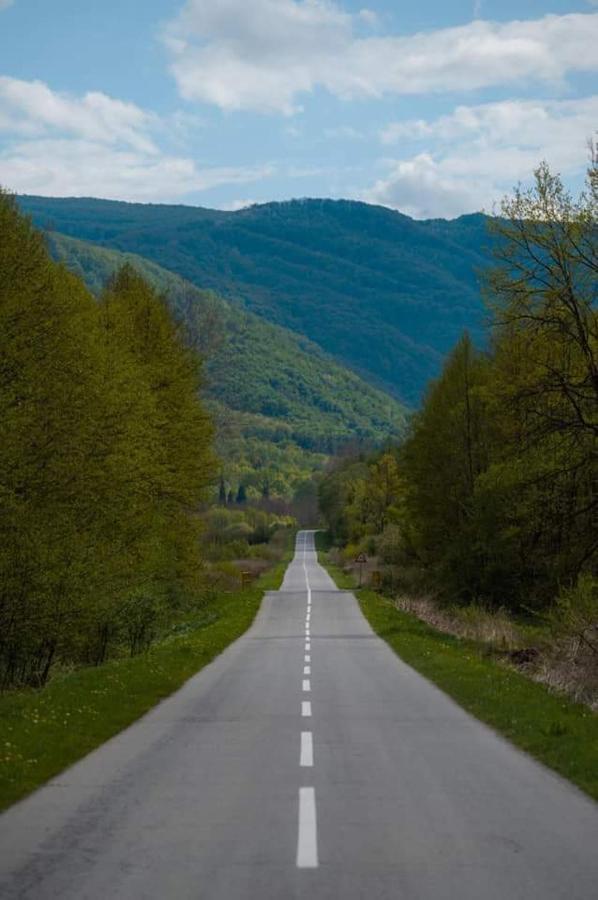 Villa Papuk Vocin Zewnętrze zdjęcie